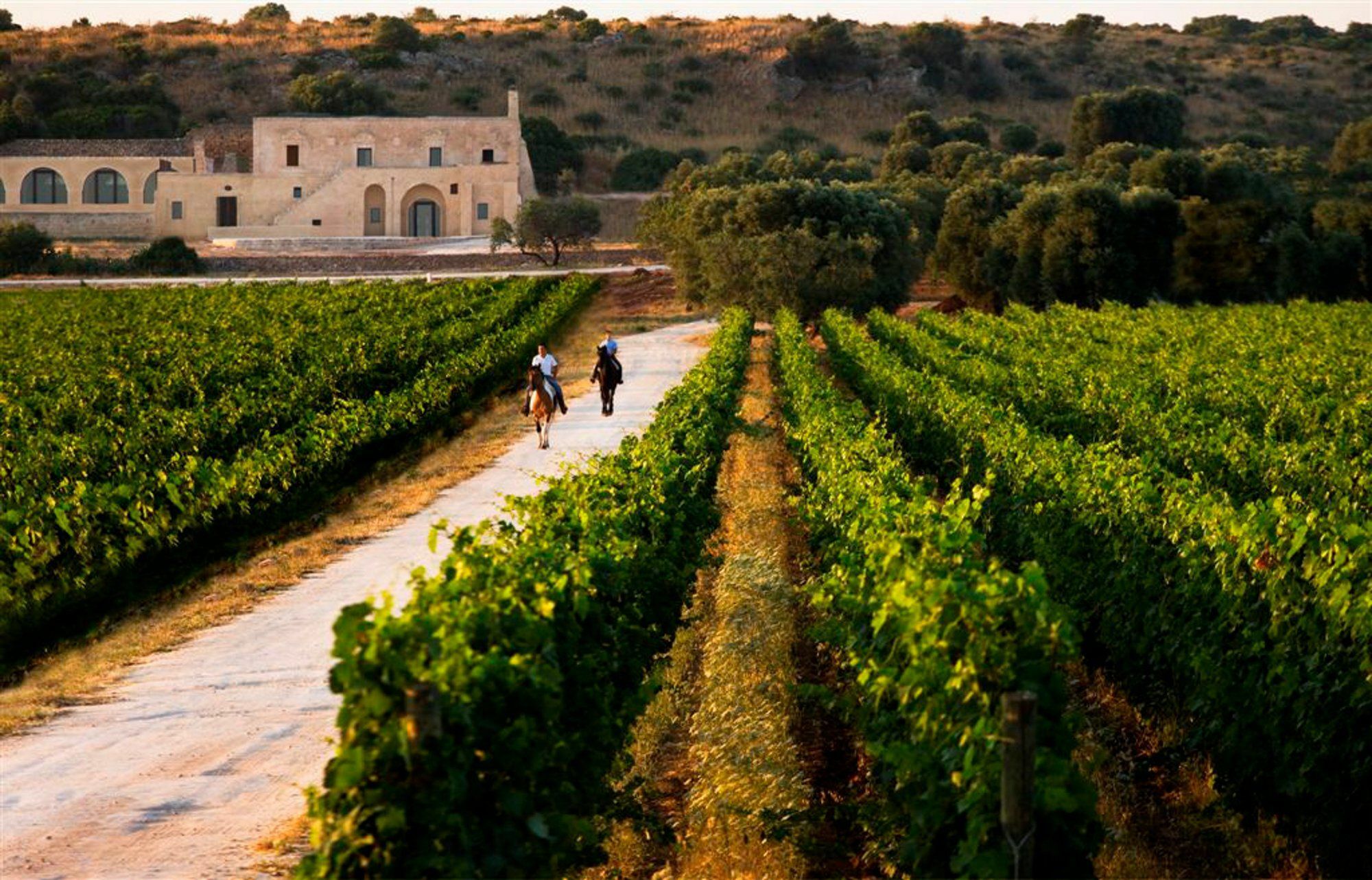 Masseria Le Fabriche Maruggio Exteriör bild